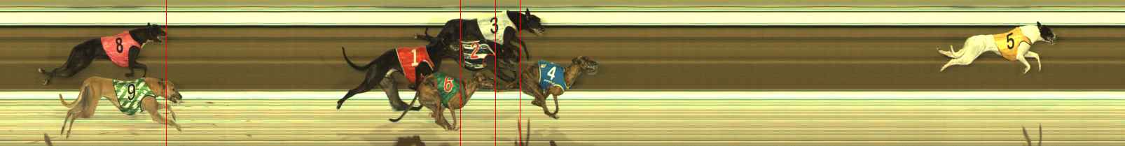 Race result finish photo